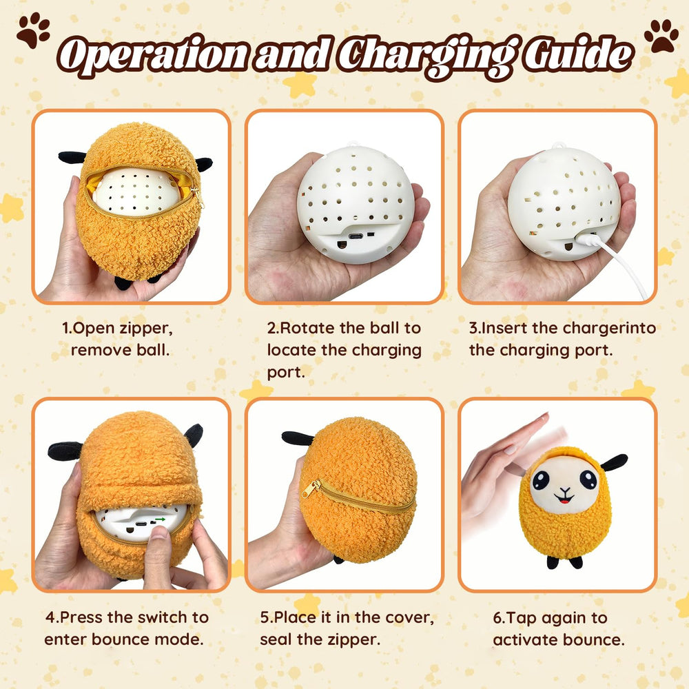 Huimpet USB-rechargeable dog ball with cable for mess-free charging.