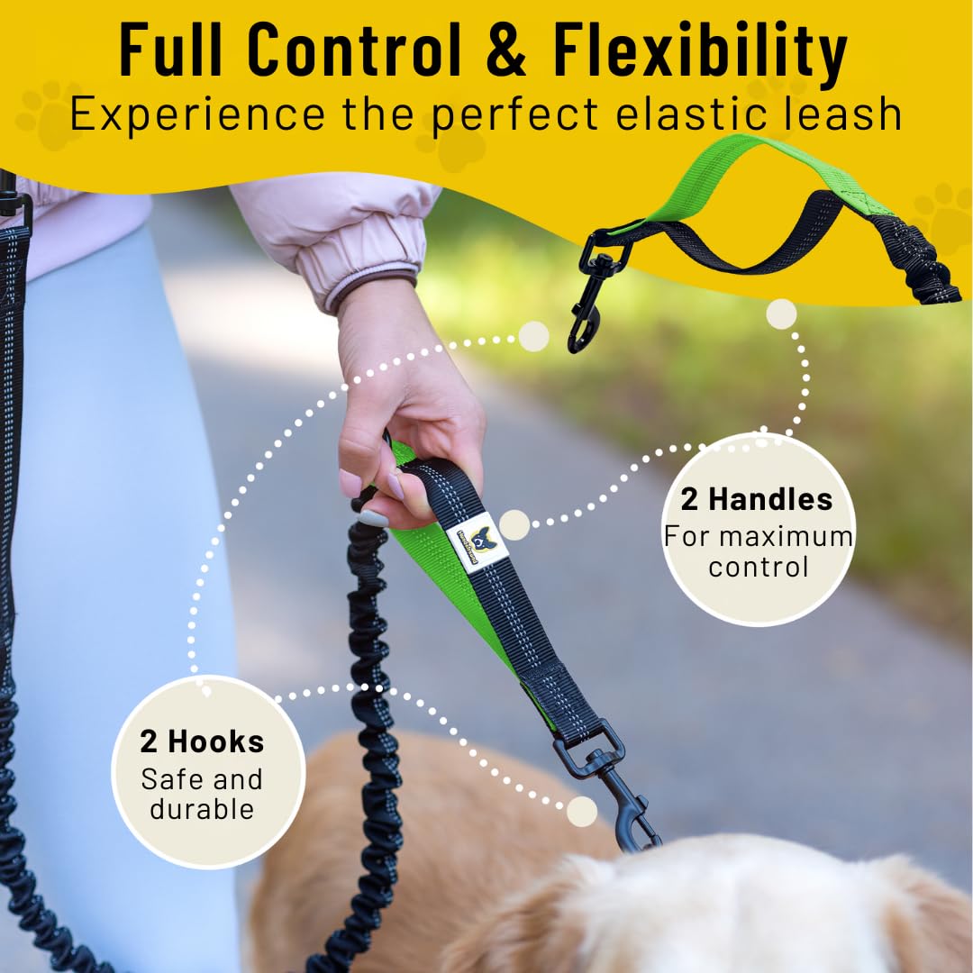 Hundefreund dual dog attachment enables walking a second dog with one belt.