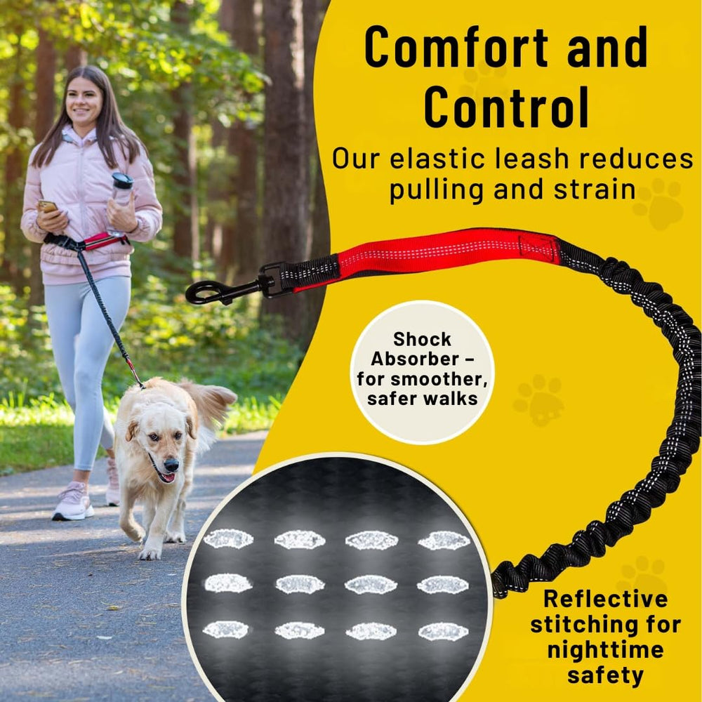 Hundefreund dual handles provide extra control in crowded areas.