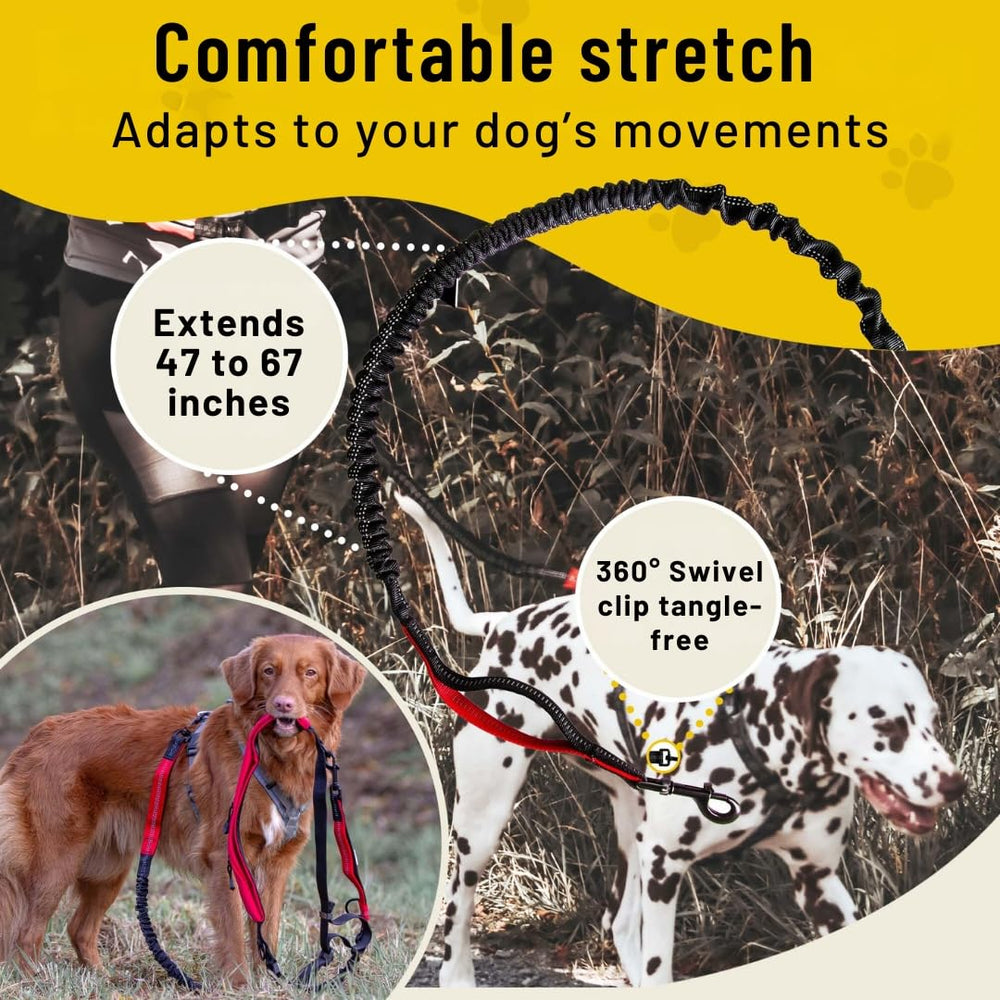 Hundefreund medium-large dog compatible bungee supports energetic walks.