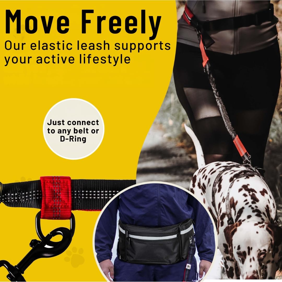 Hundefreund reflective stitching enhances nighttime visibility on walks.
