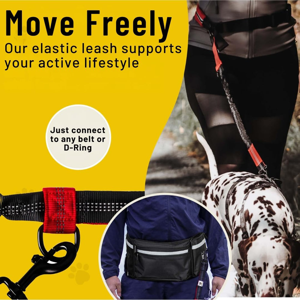 Hundefreund reflective stitching enhances nighttime visibility on walks.