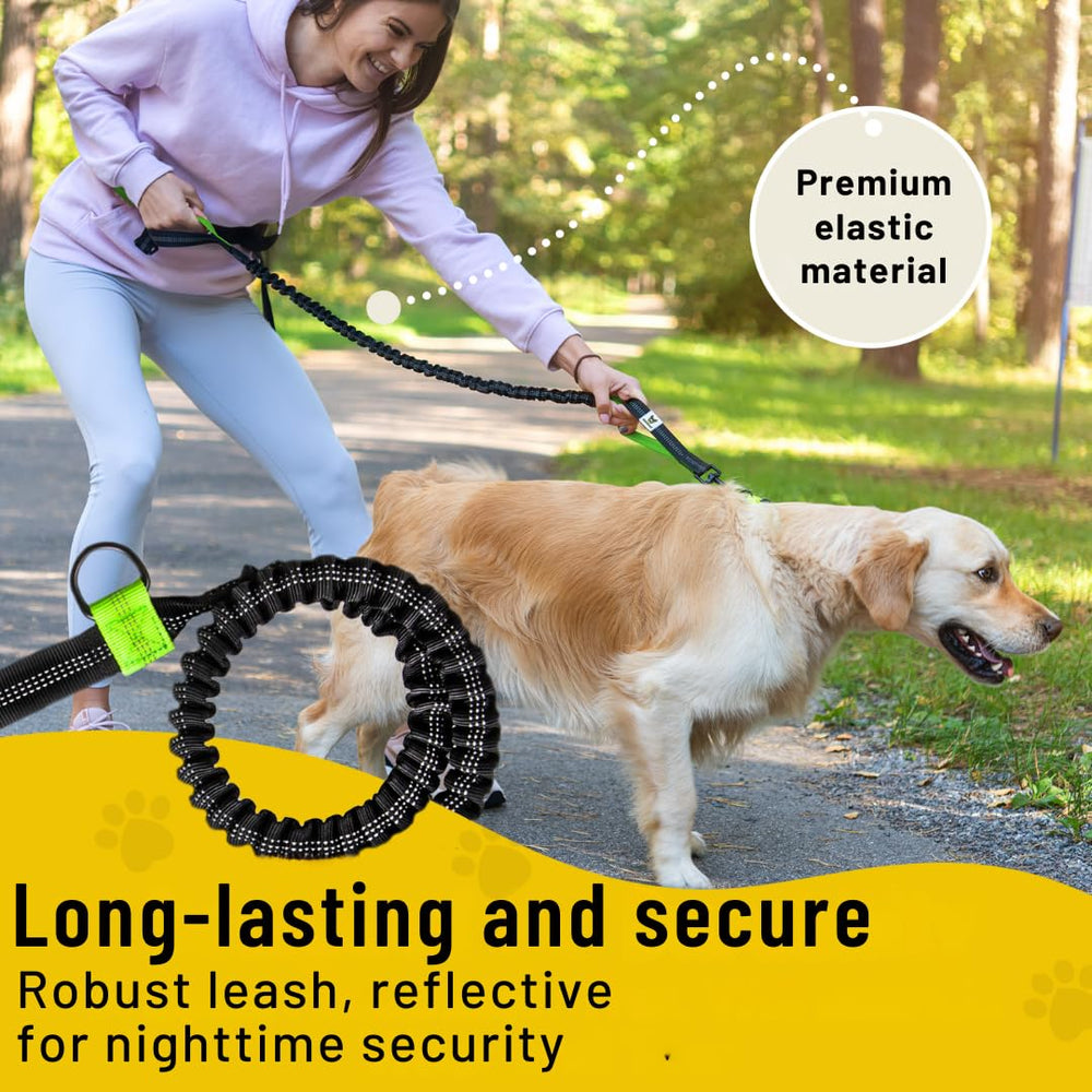 Hundefreund shock-absorbing leash reduces pulling for smoother walks.