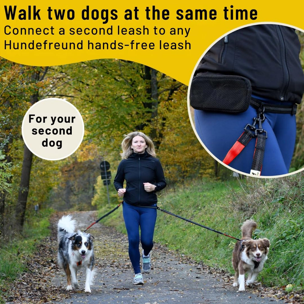 Hundefreund shock-absorbing walk reduces strain on you and your dog.