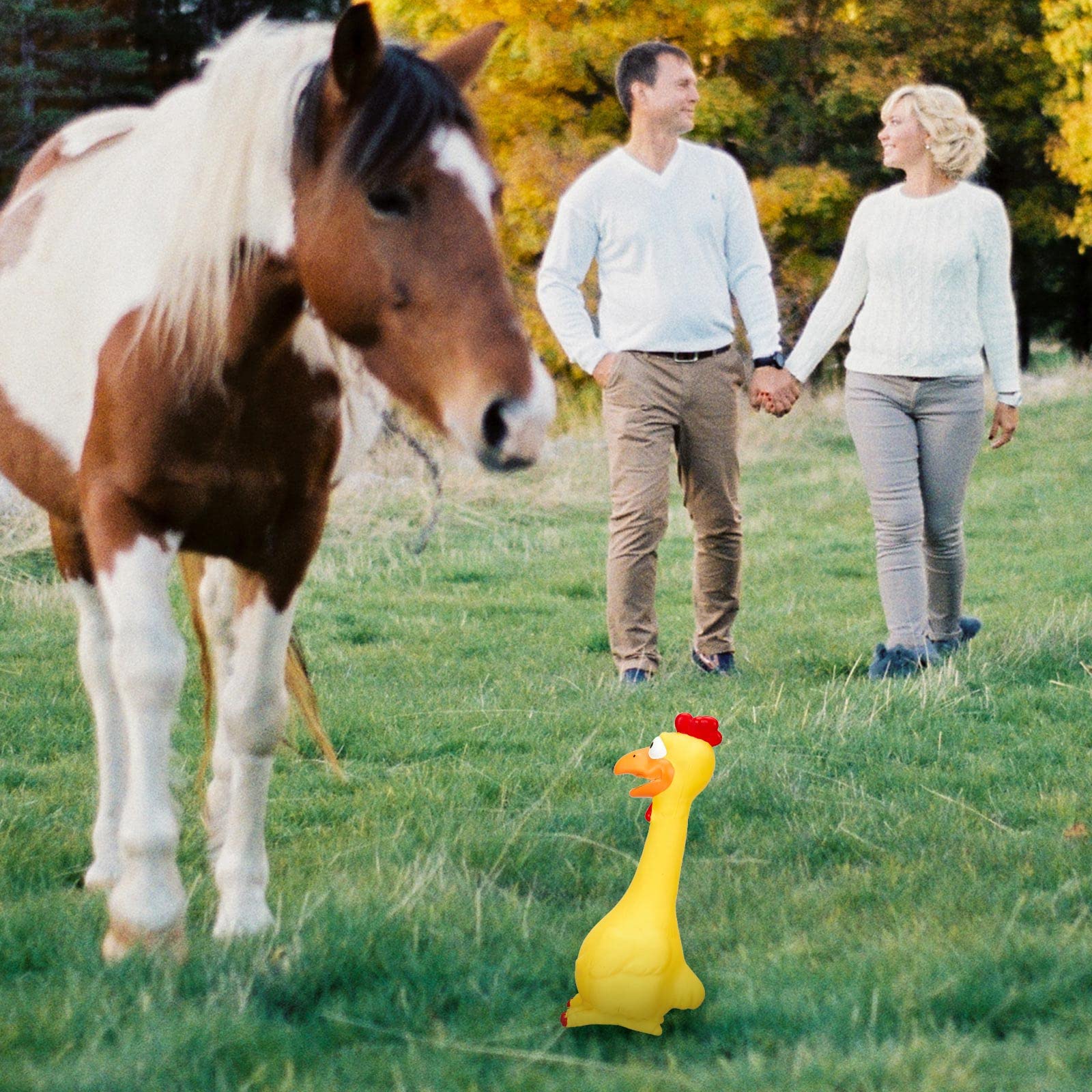 Hungdao boredom relief chicken toy for paddock or stall use