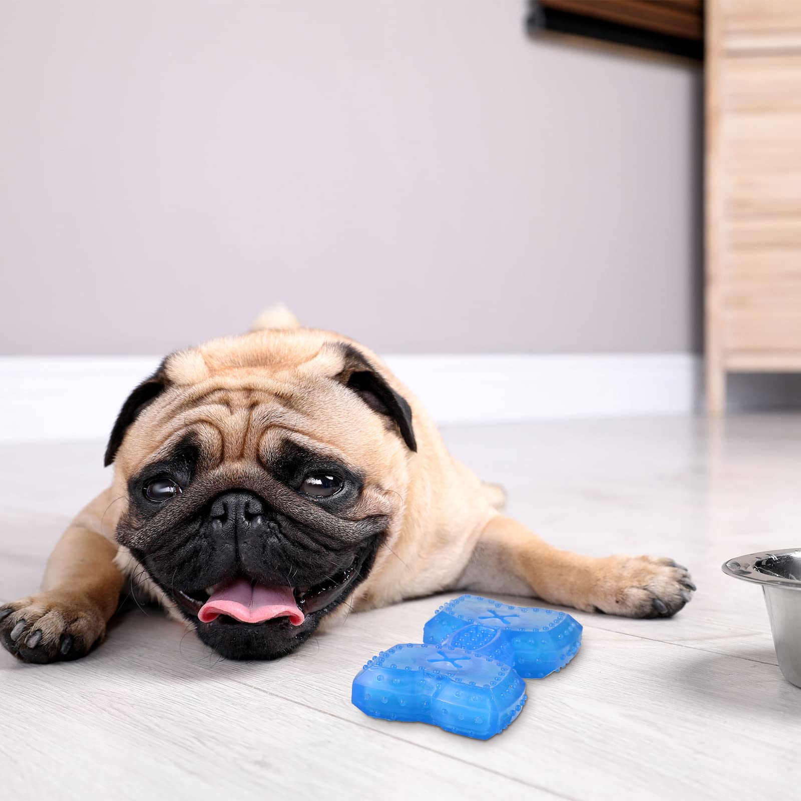Hungdao ring and bone playset for fetch and chew