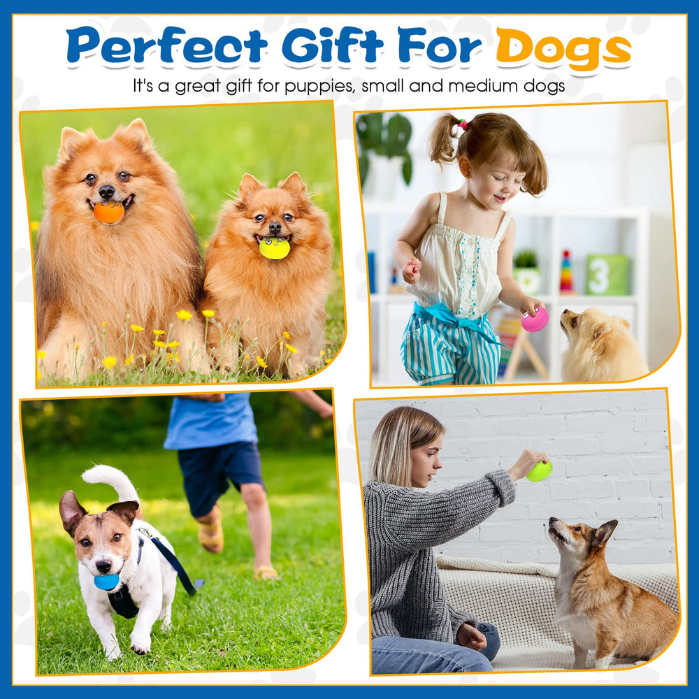 Hungdao reminder of supervision for dog toy use and safe play.