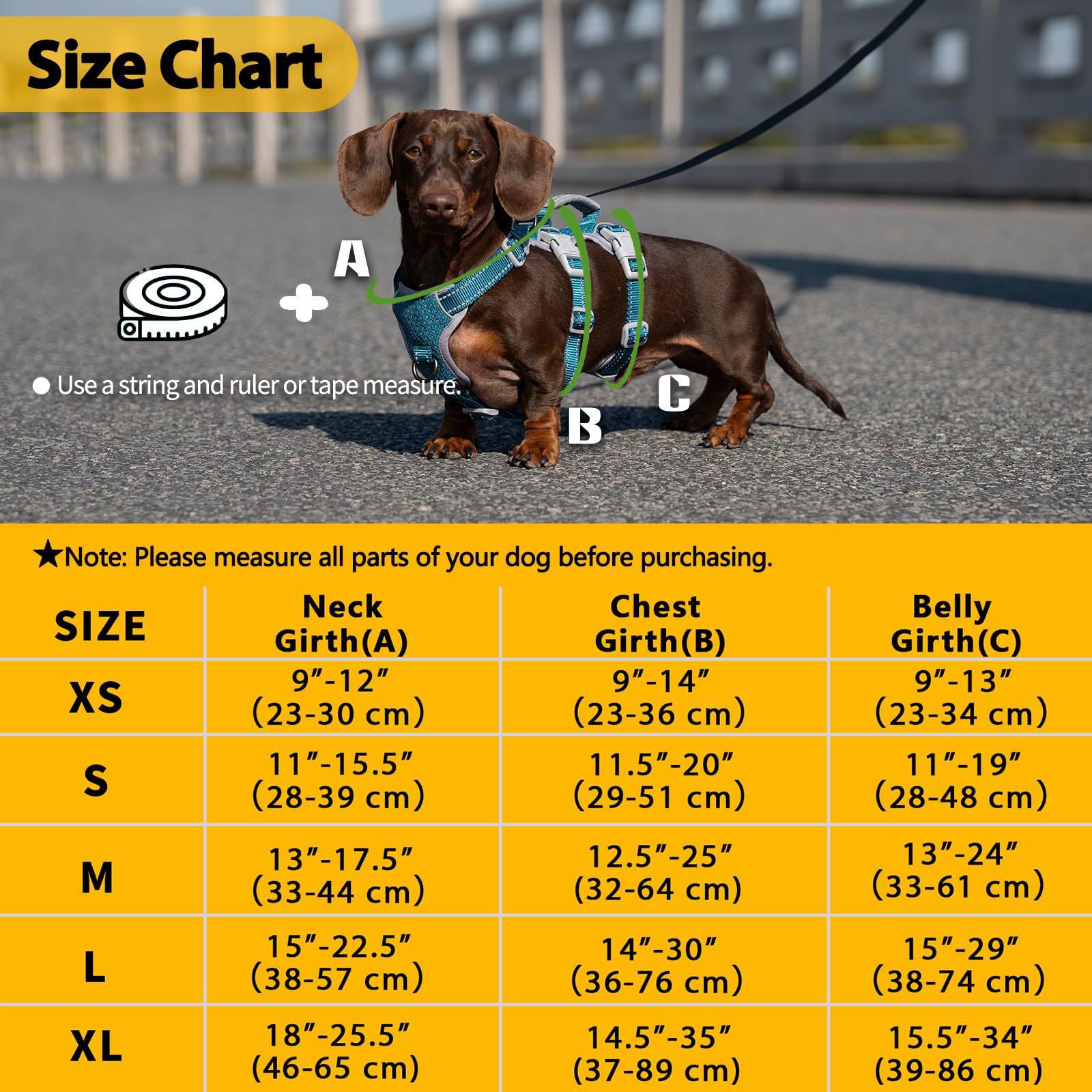 Huntboo breathable air mesh on the vest keeps dogs cool during walks