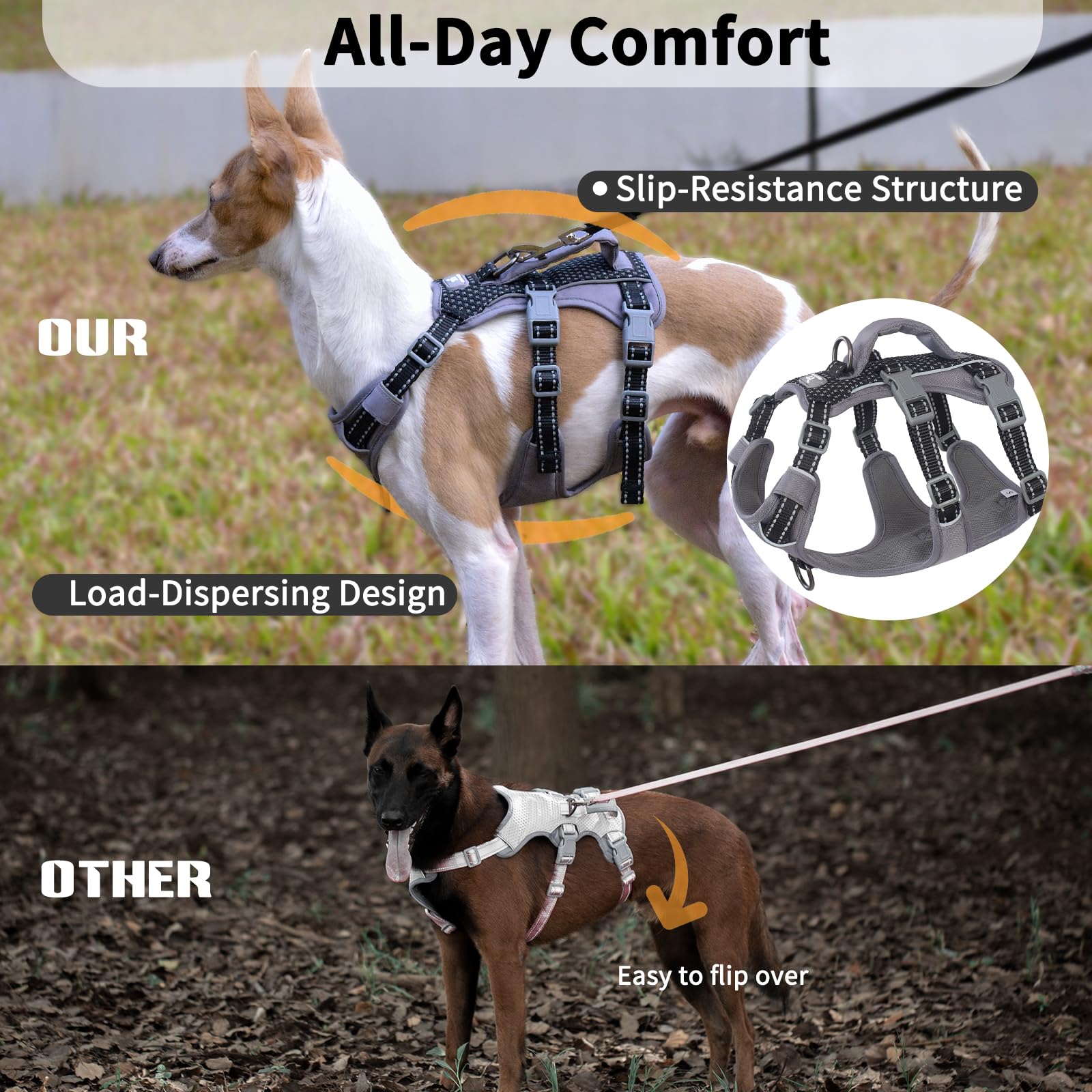 Huntboo breathable air mesh keeps your dog cool on long walks.