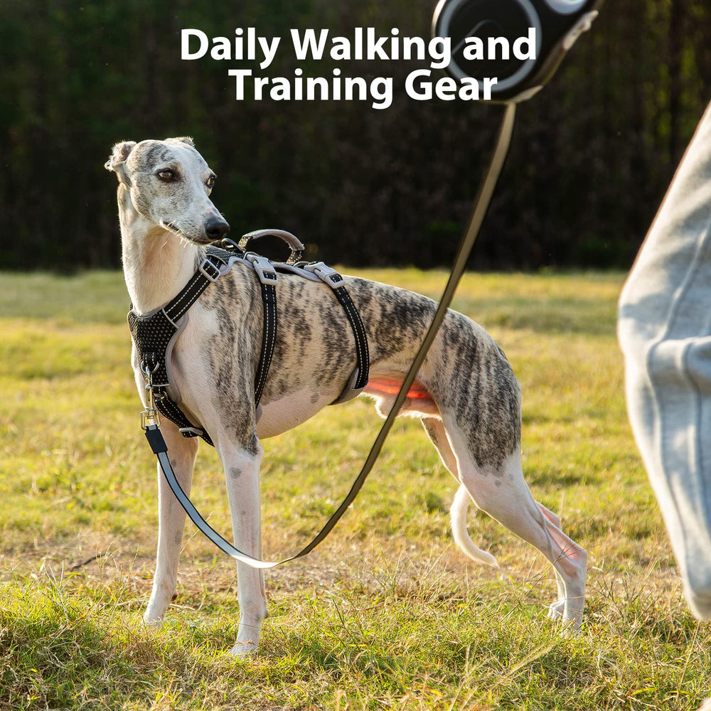 Huntboo breathable air mesh harness keeps dogs comfortable on hikes.