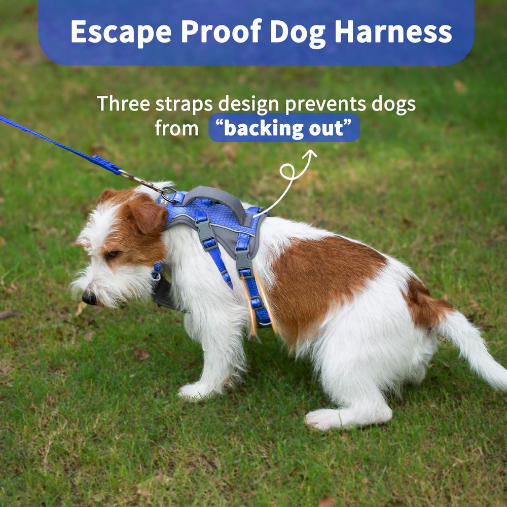 Huntboo Breathable air mesh keeps dogs comfortable during long outdoor sessions.