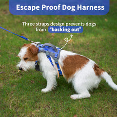 Huntboo Breathable air mesh keeps dogs comfortable during long outdoor sessions.