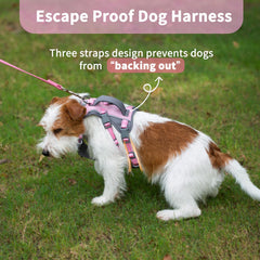 Huntboo breathable air mesh panel on harness for comfort during walks