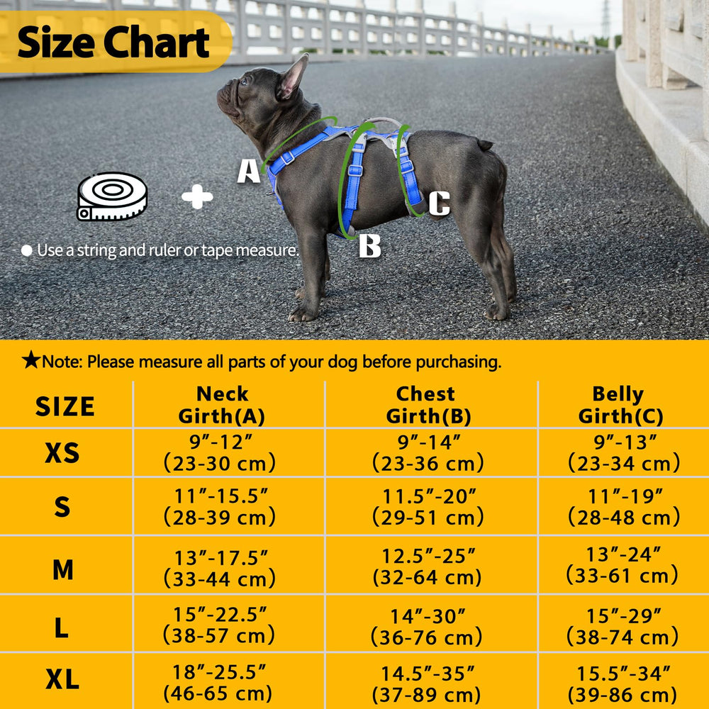 Huntboo breathable air mesh keeps dogs cool on outdoor walks.