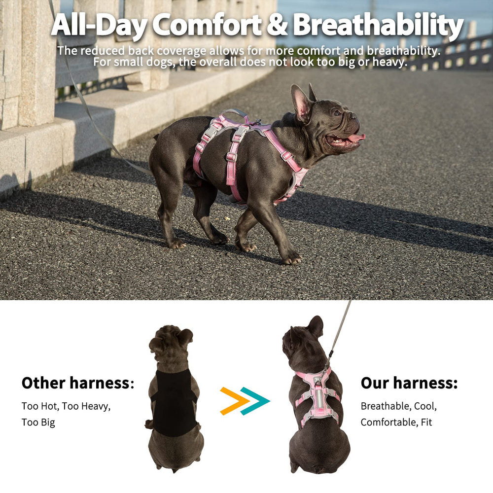 Huntboo chest D-ring reduces pulling for smoother walks