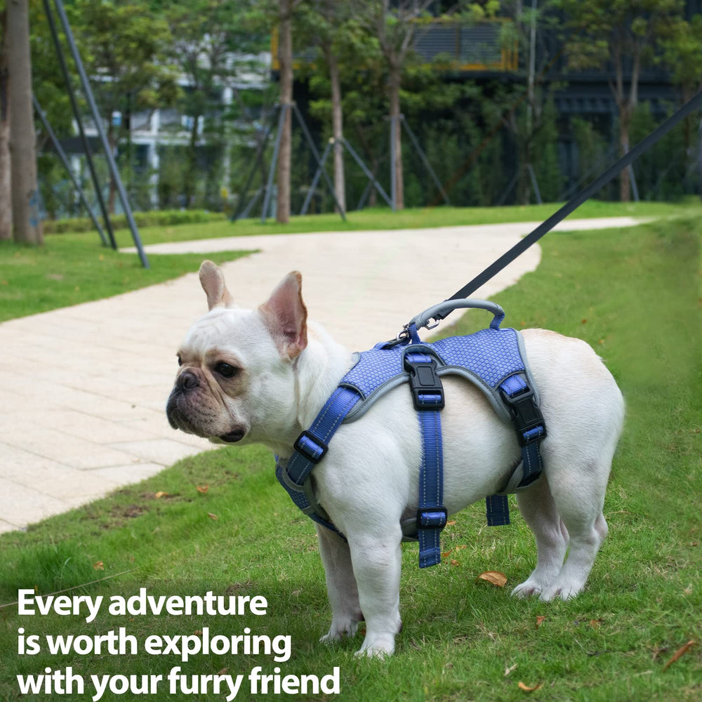 Huntboo Rugged nylon construction showcases all-season durability for training and walking.