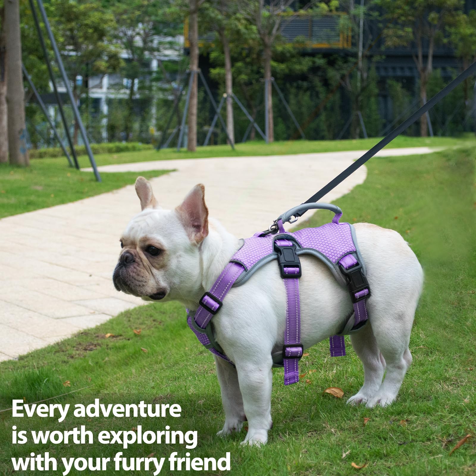 Huntboo all-season nylon build stands up to daily wear.