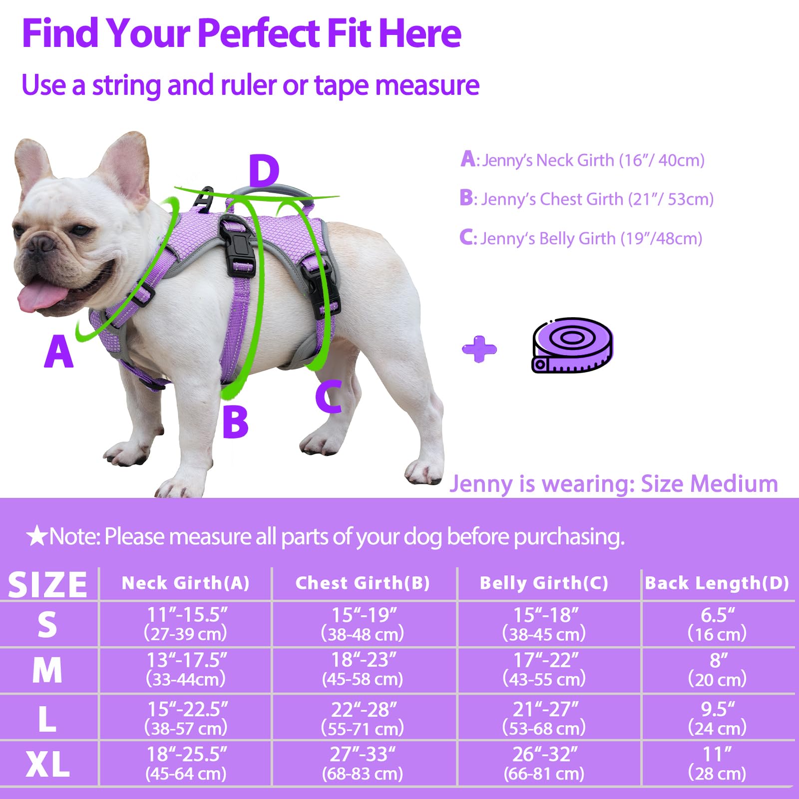 Huntboo back D-ring provides secure leash attachment for everyday use.