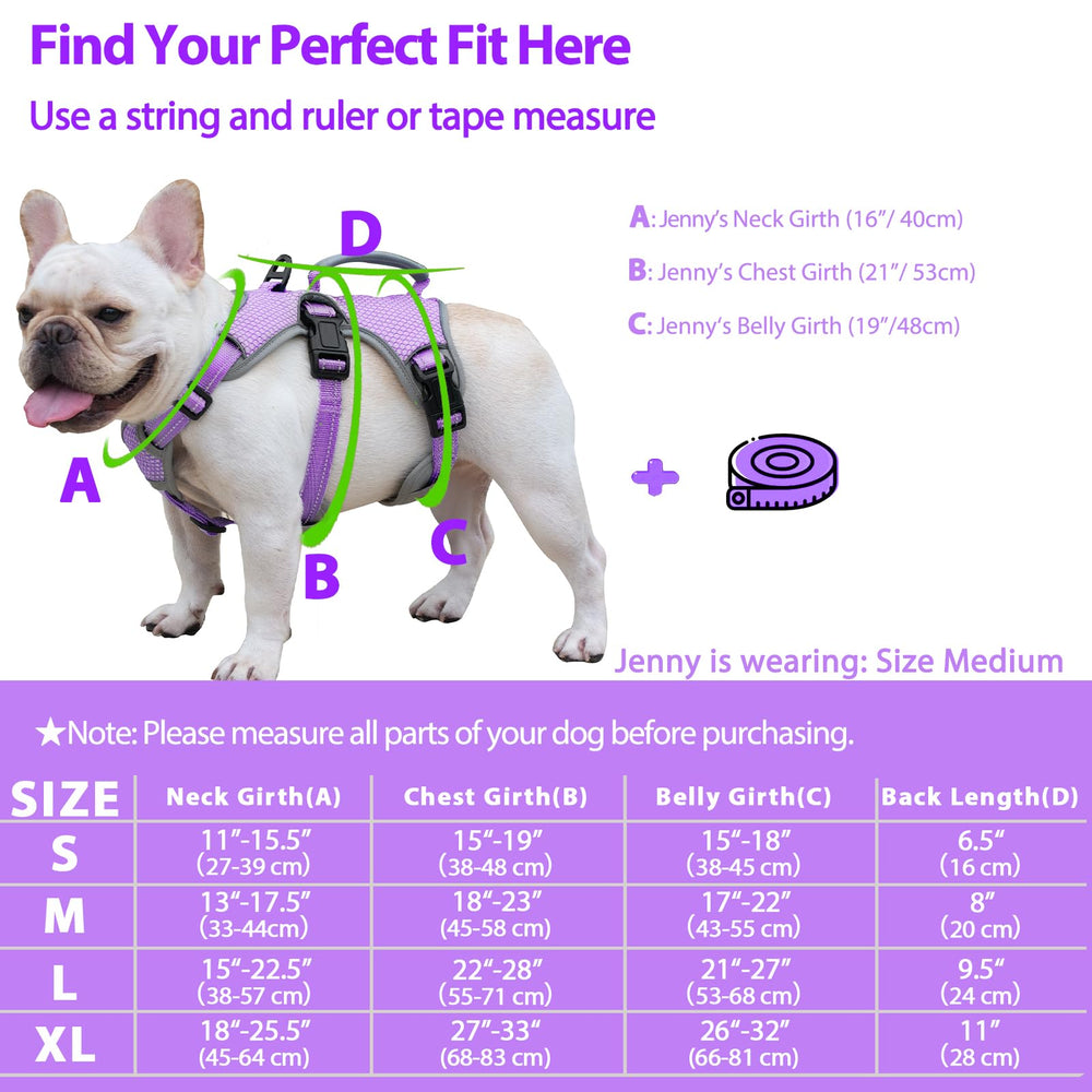 Huntboo back D-ring provides secure leash attachment for everyday use.
