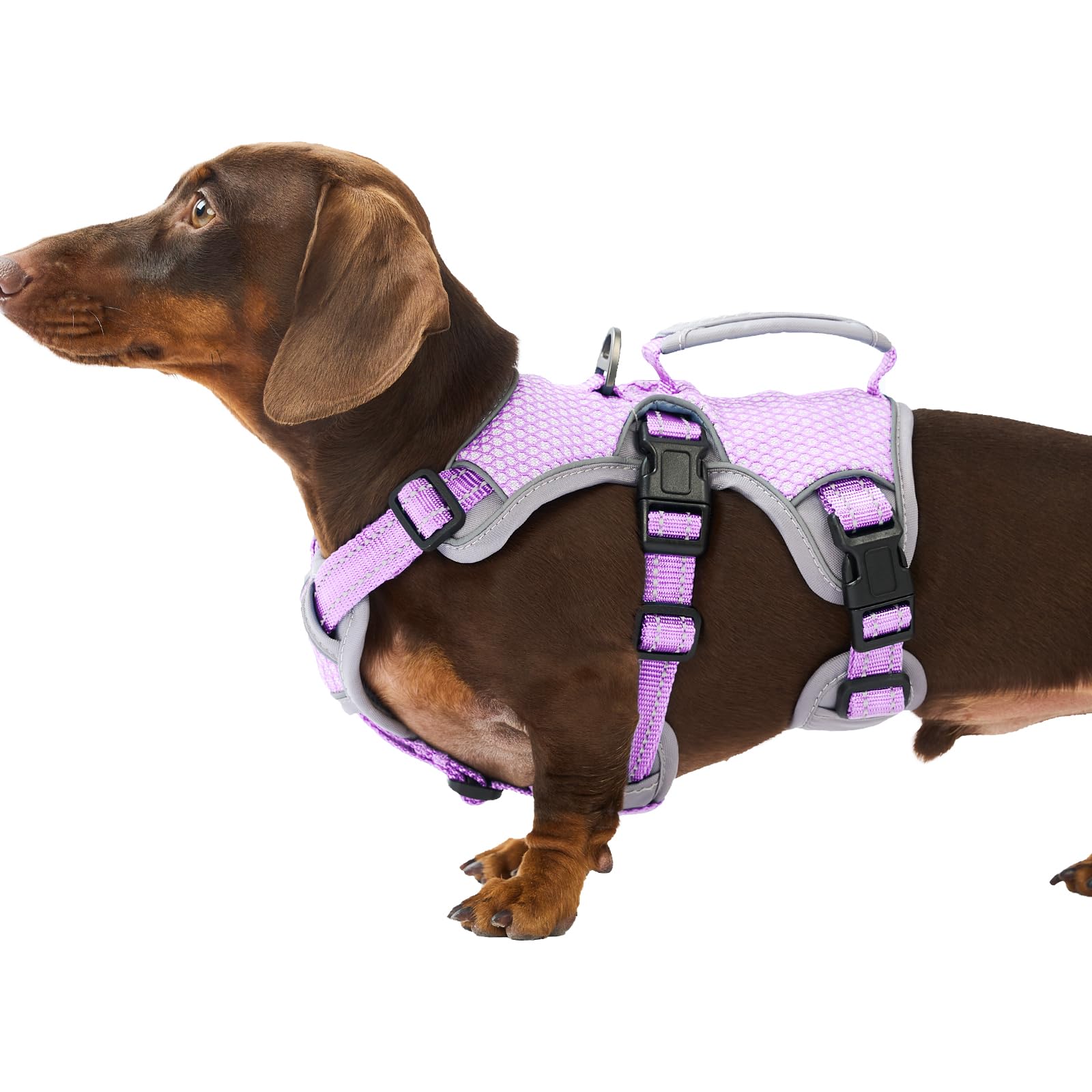 Huntboo escape-proof dog harness with belly strap for secure control during walks.