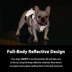 Huntboo harness features breathable mesh for cooling comfort on outings.