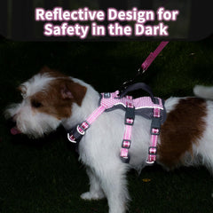 Huntboo escape proof harness showing multiple straps for a secure fit