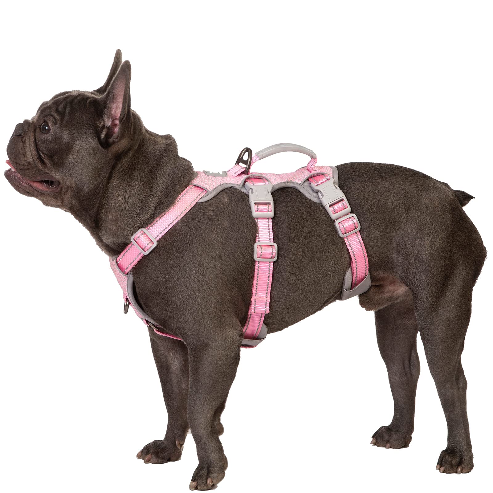 Huntboo Escape Proof Harness overview with secure grip for confident daily walks.