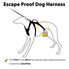 Huntboo escape-proof harness side view shows easy adjustment for dogs.