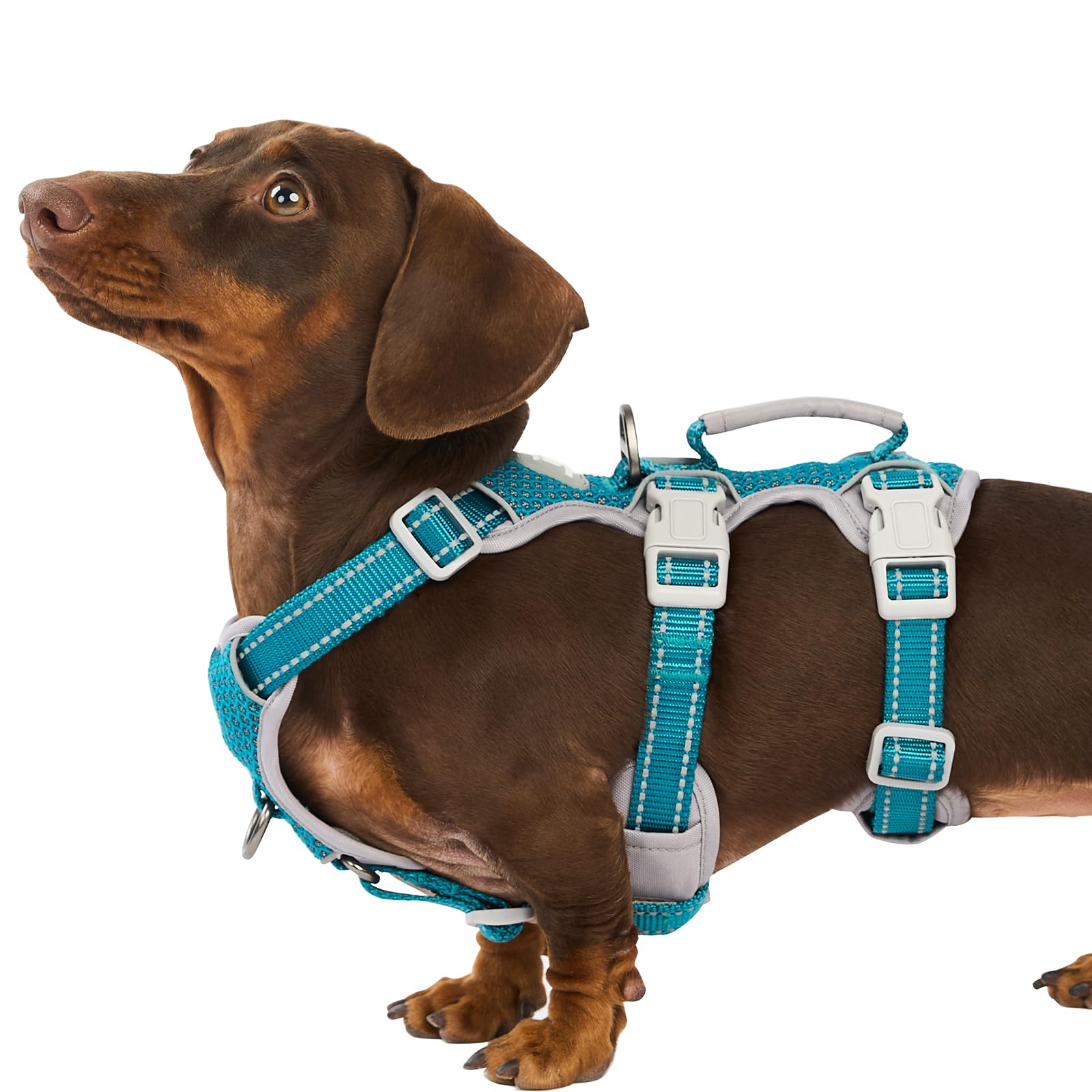 Huntboo escape-proof harness teal padded handle for secure grip