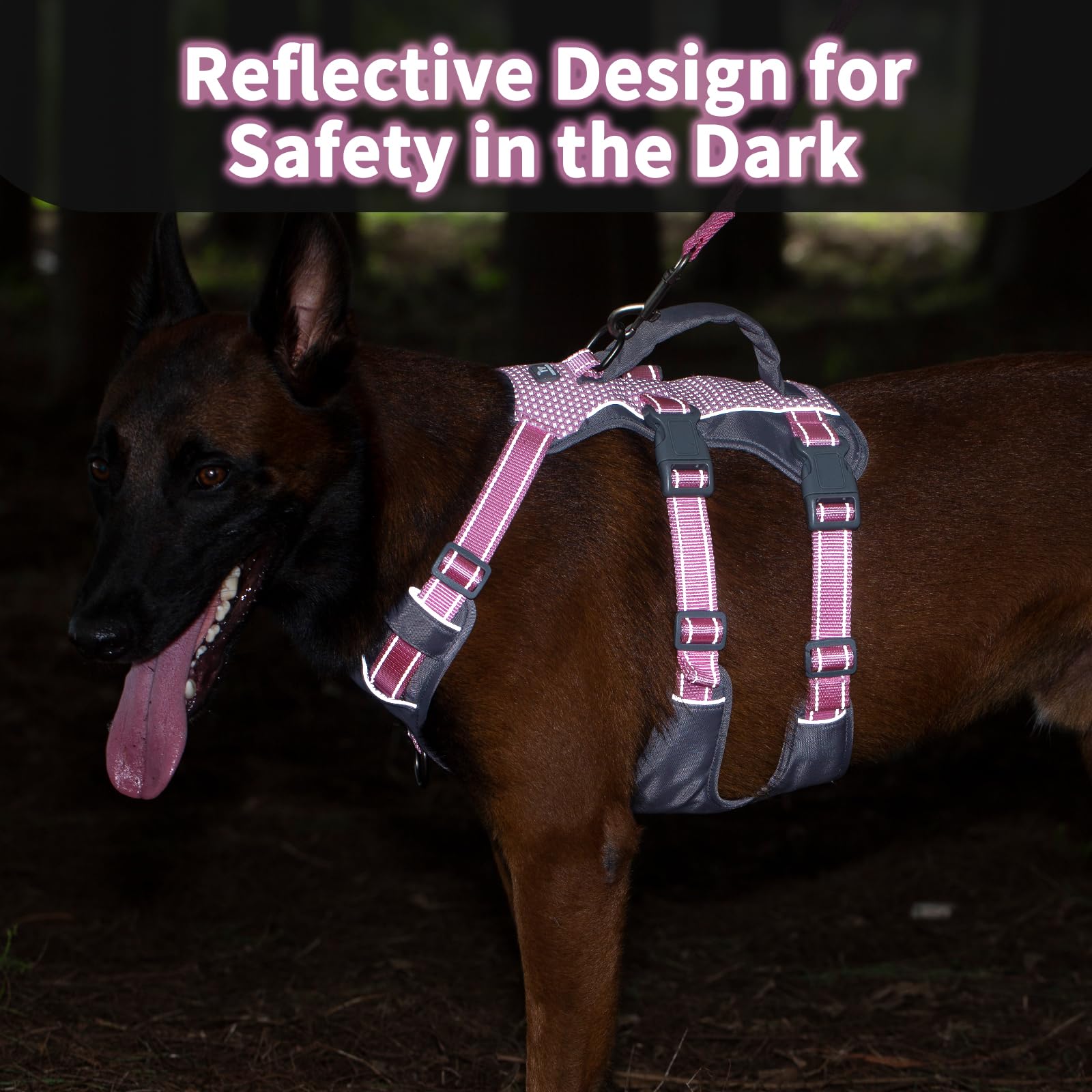Huntboo escape-proof harness with triple straps prevents escapes during walks
