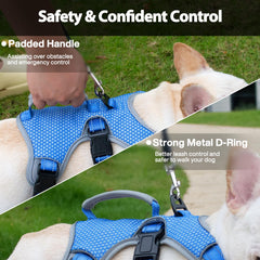 Huntboo five-point adjustable fit for growing dogs' comfort