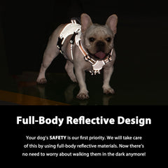 Huntboo escape-proof harness adjustable-points ensure a precise fit as your dog grows.