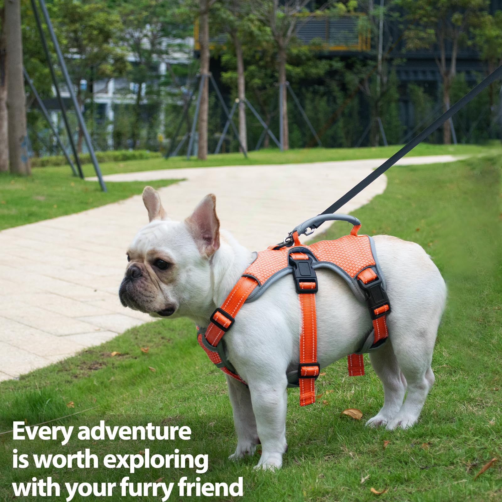 Huntboo escape-proof harness all-season-nylon is built for outdoor durability.