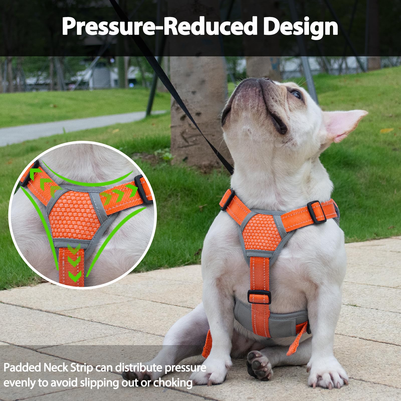 Huntboo escape-proof harness back-d-ring offers secure leash attachment.