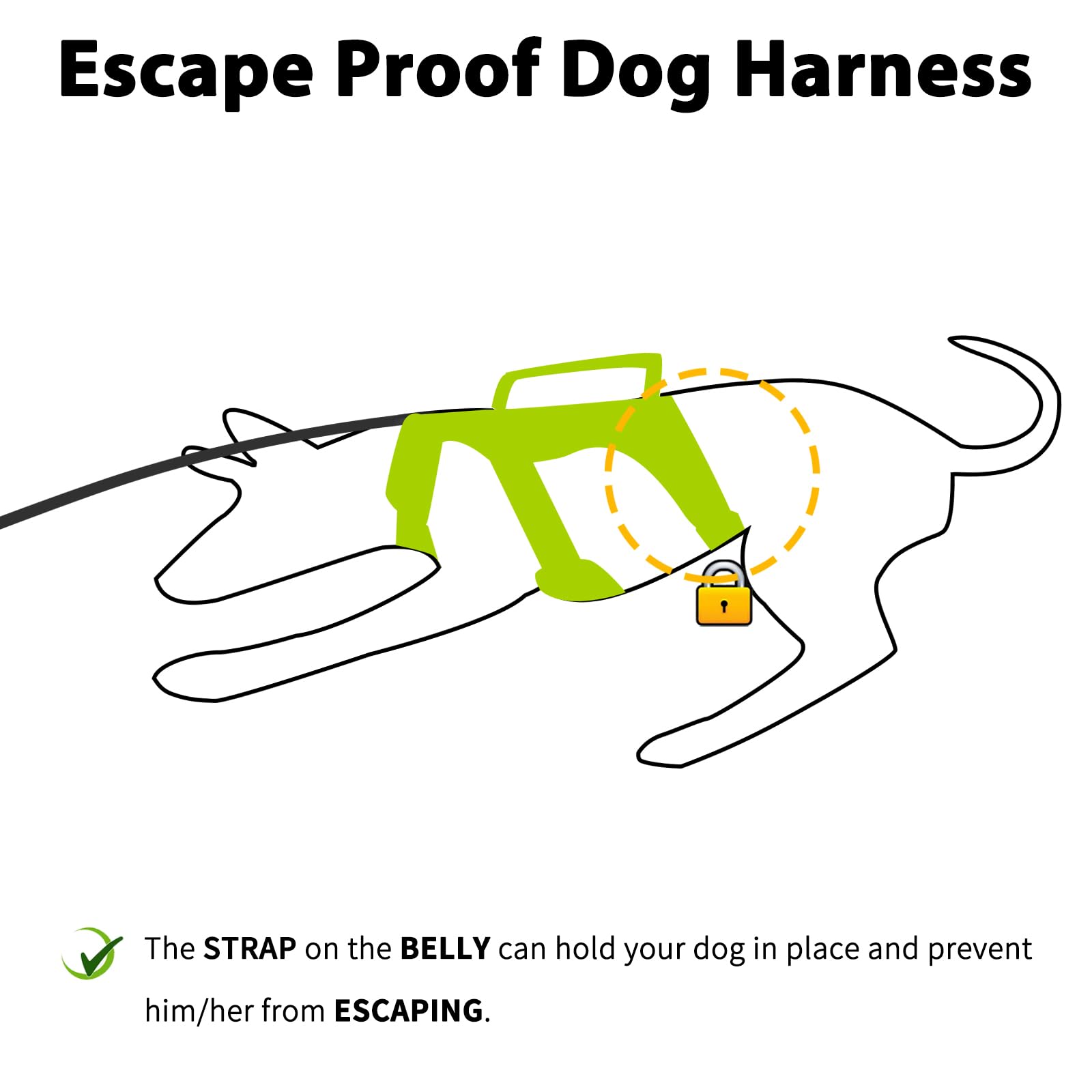 Huntboo Escape-Proof Harness back view highlights sturdy D-ring for leash control.
