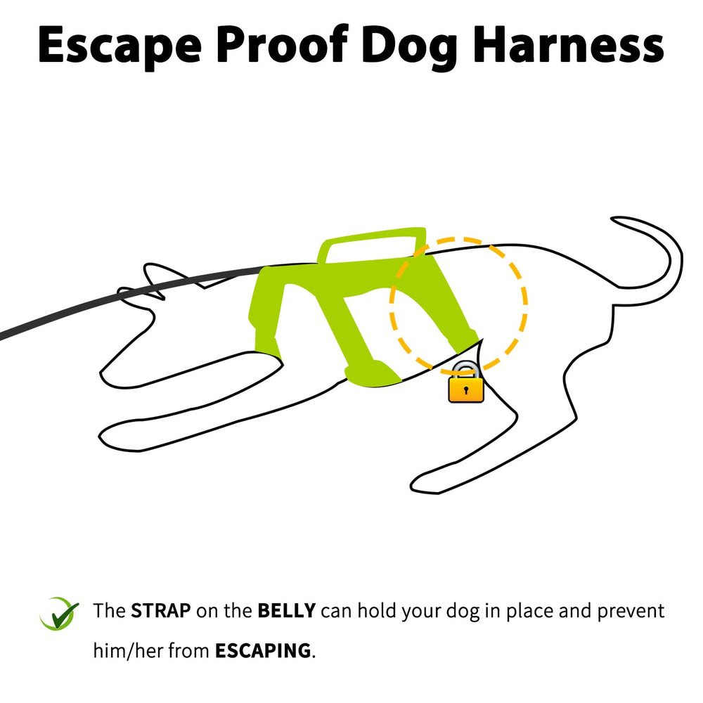 Huntboo Escape-Proof Harness back view highlights sturdy D-ring for leash control.