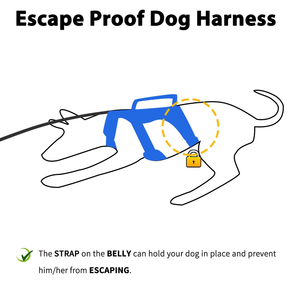Huntboo Escape Proof Harness belly strap close-up for escape prevention and grip