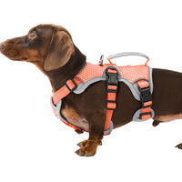 Huntboo escape-proof harness belly-strap keeps your dog secure during walks.