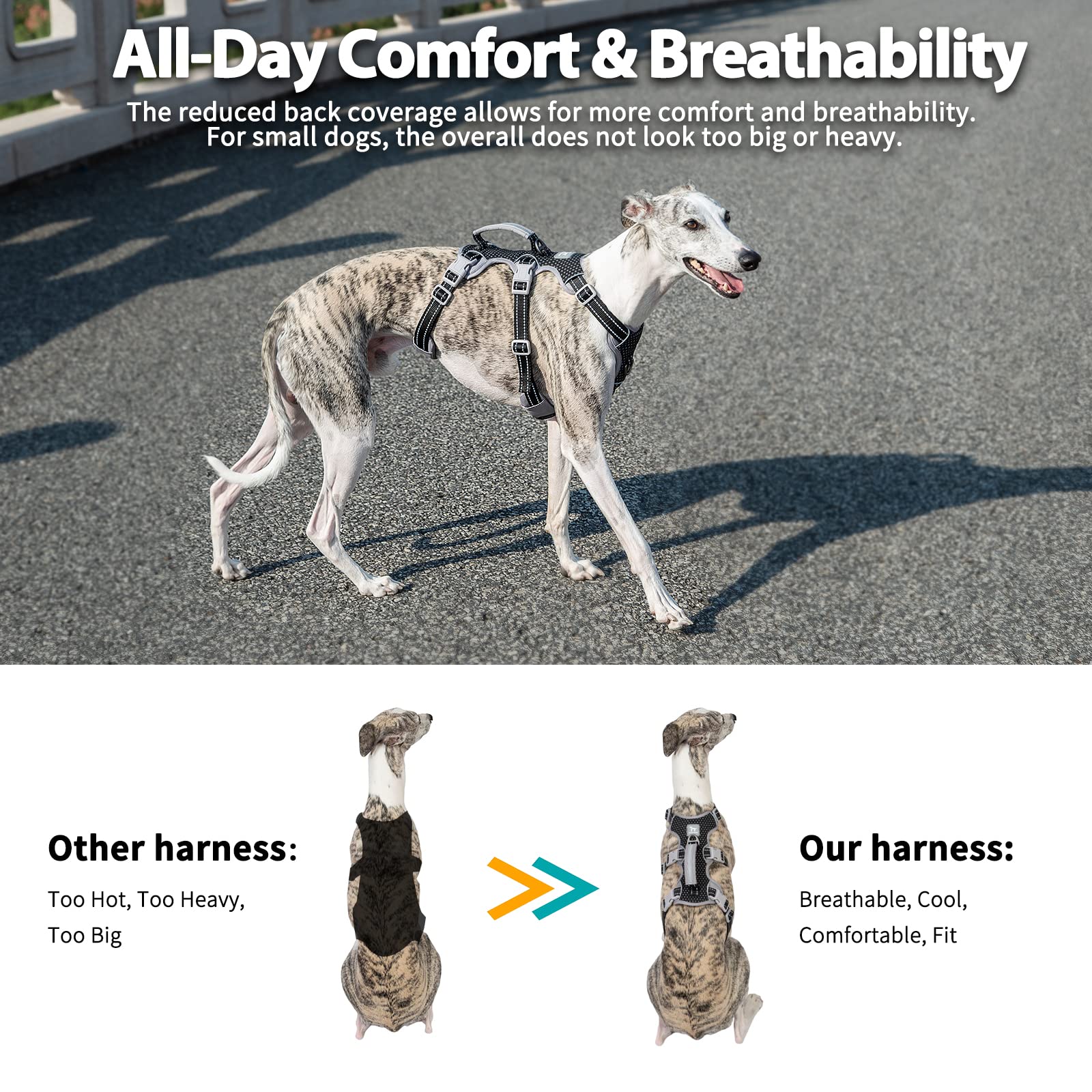 Huntboo Escape Proof Harness front and back D-rings for versatile leash control.