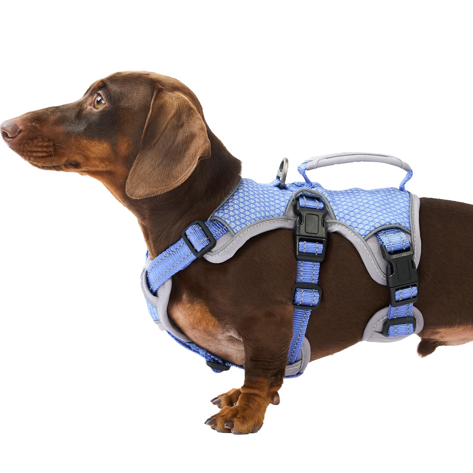 Huntboo Escape Proof Harness front view for secure daily walks.