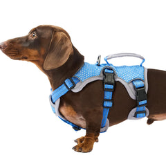 Huntboo Escape Proof Harness front view showing secure fit and reflective trim