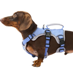 Huntboo Escape Proof Harness front view for secure daily walks.