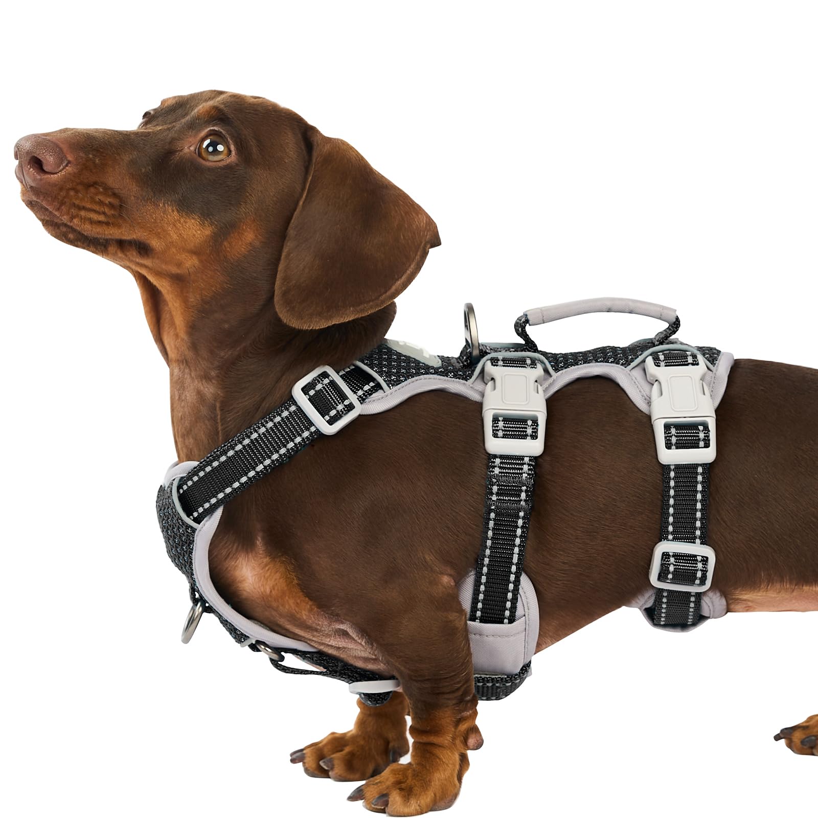 Huntboo Escape Proof Harness with handle for secure grip during walks and training.