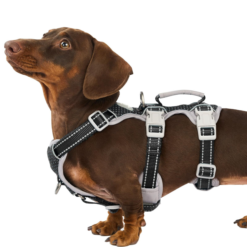 Huntboo Escape Proof Harness with handle for secure grip during walks and training.