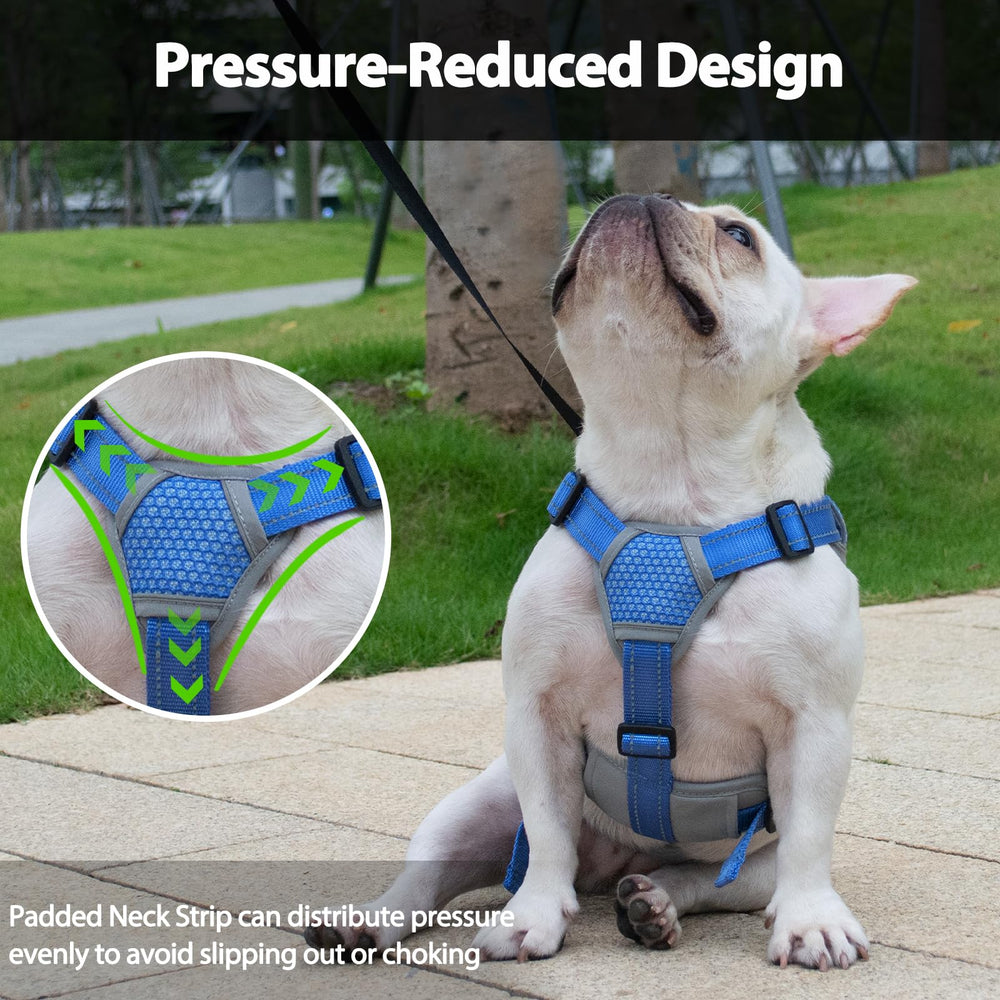 Huntboo Harness with padded handle for secure lifting