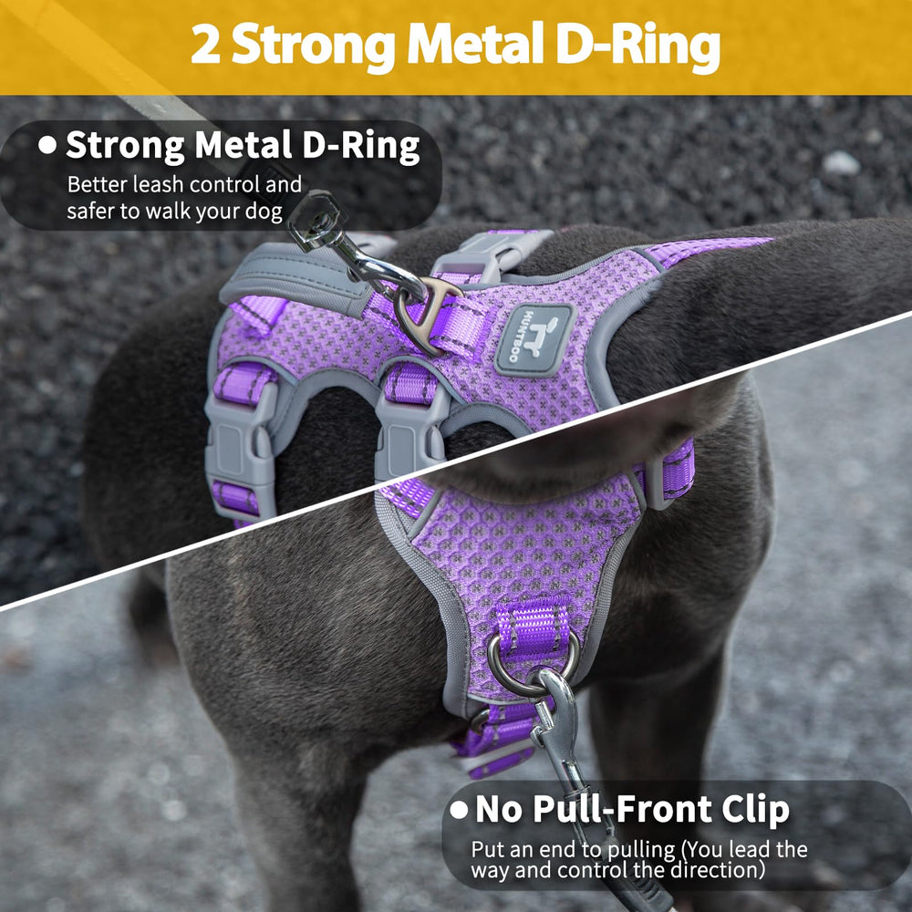 Huntboo chest D-ring on lavender purple harness for redirection during walks.