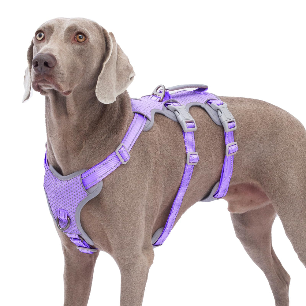 Huntboo Escape Proof Harness in lavender purple with front leash clip for secure control.