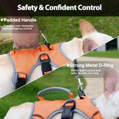 Huntboo escape-proof harness padded-handle provides lift and control.