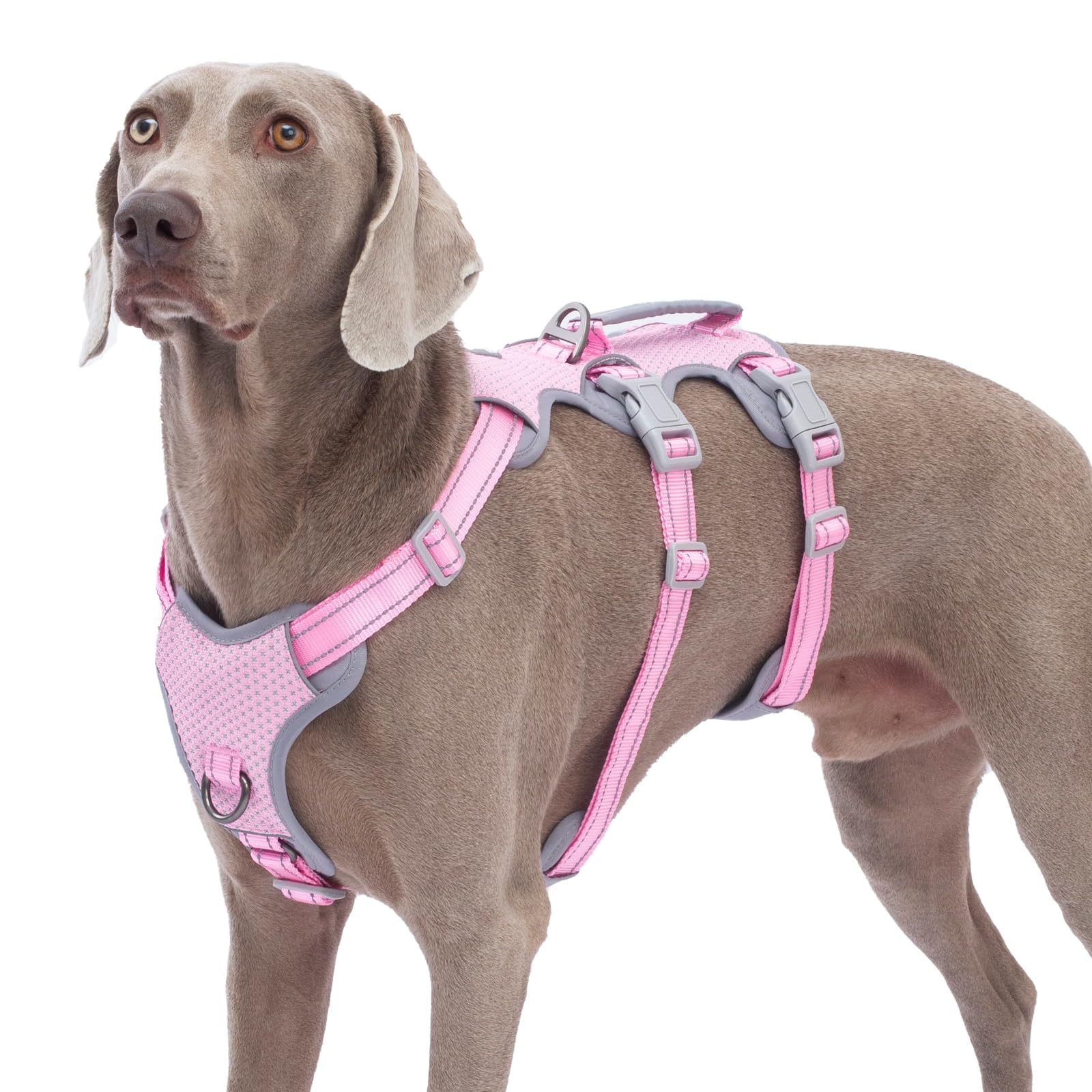 Huntboo pink escape-proof harness with lift handle for secure grip during walks