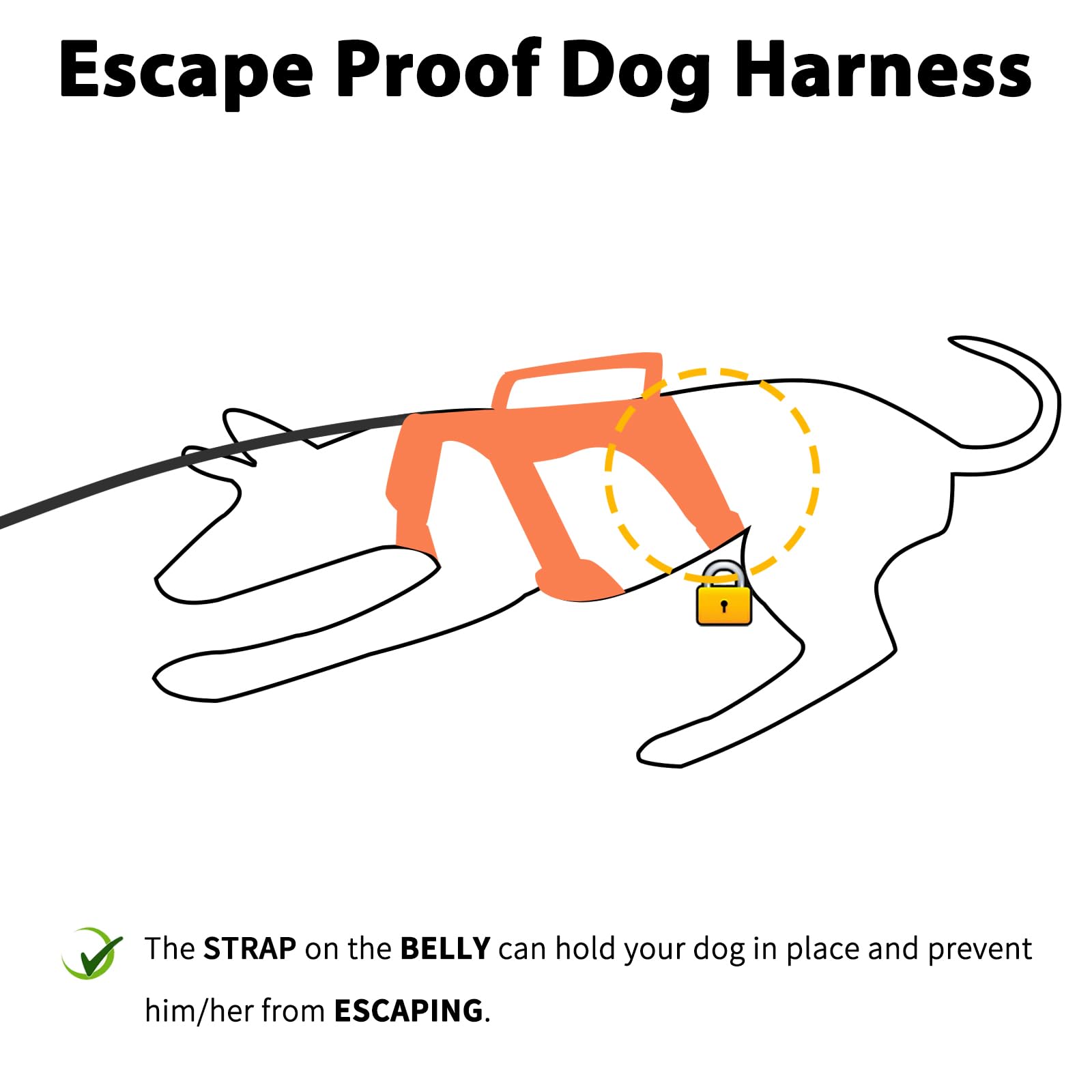 Huntboo escape-proof harness reflective design boosts night visibility for safety.